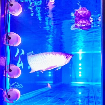 1 Головная светодиодная RGB лампа для аквариума Rockery Pool Lights Освещение рыбного пруда Водонепроницаемые подводные фонари IP68 AC12V