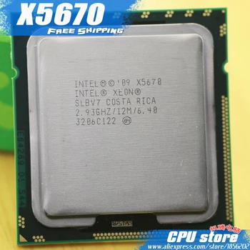 Процессор Intel Xeon X5670 CPU/2,93 ГГц/LGA1366/12 МБ Кэш-памяти L3/Шестиядерный/серверный процессор Бесплатная Доставка